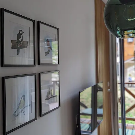 Teo Divcigora 公寓