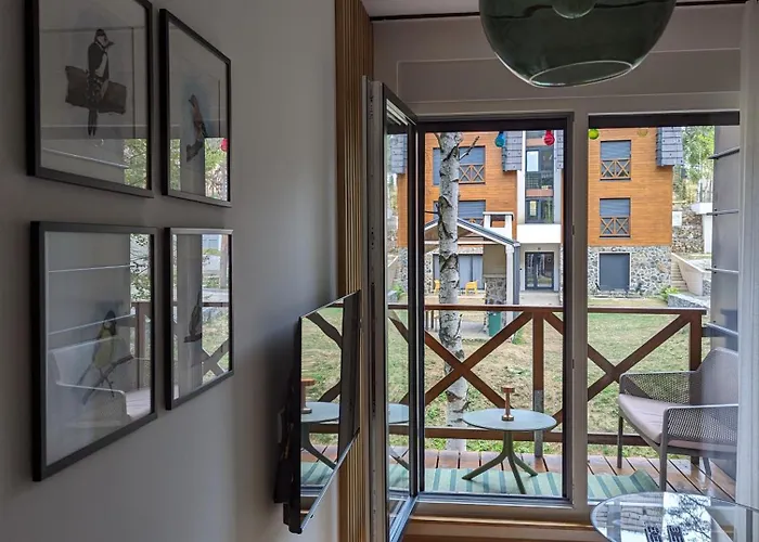 Teo Divcigora Дивчибаре