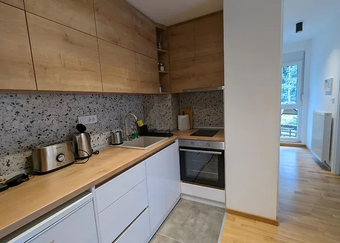 Апартаменты Teo Divcigora *