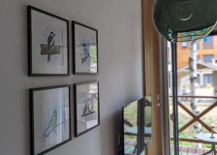 Teo Divcigora Апартаменты